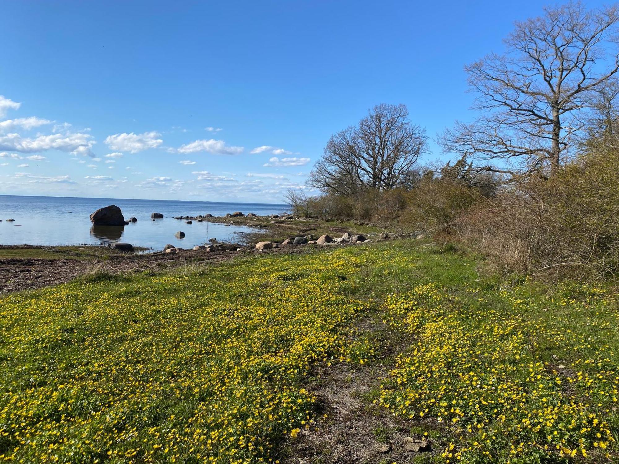 Gard Halltorps Hage Borgholm Zewnętrze zdjęcie