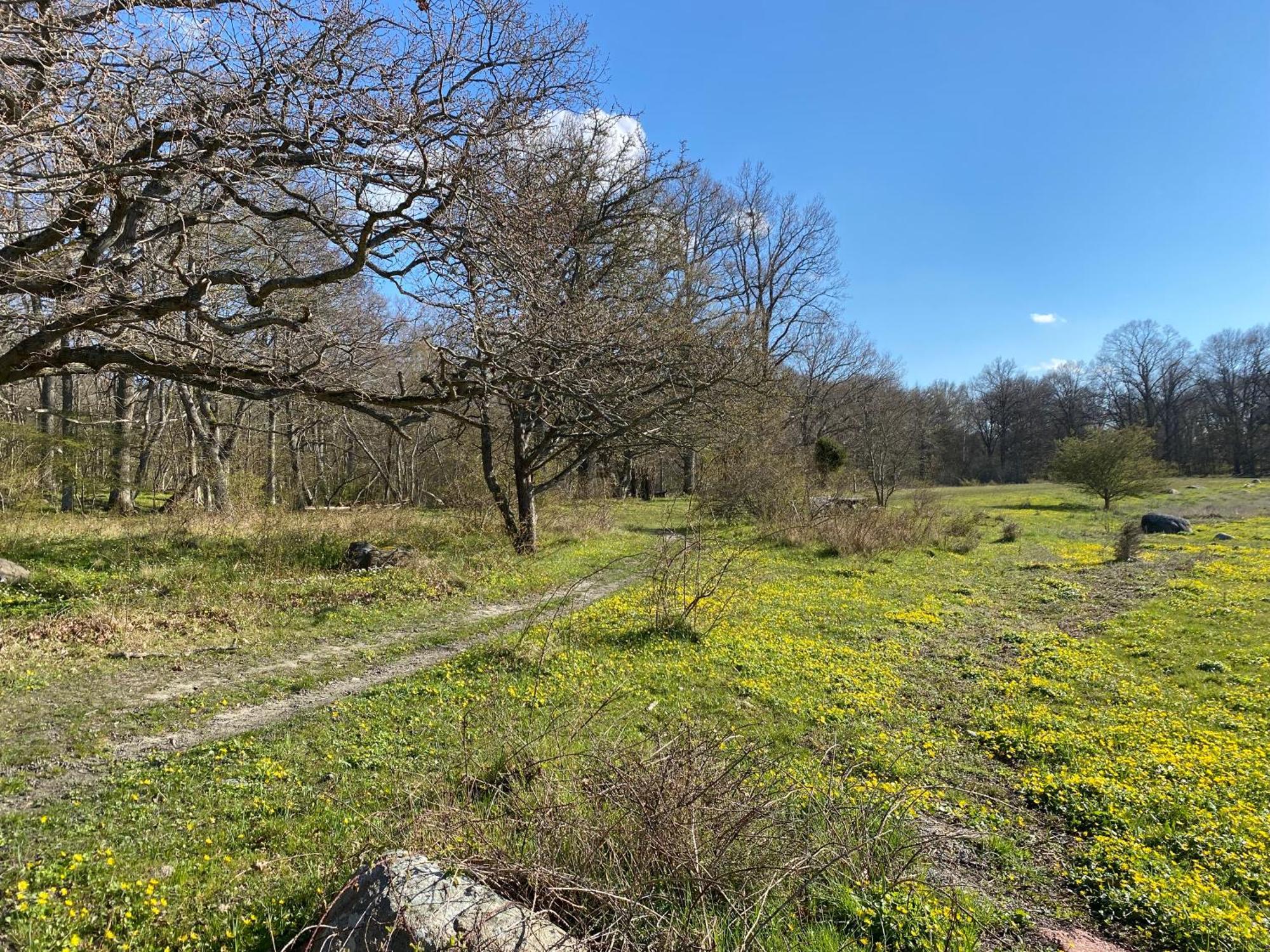 Gard Halltorps Hage Borgholm Zewnętrze zdjęcie